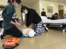 資格取得を含め様々な研修があります