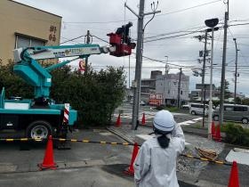 大学生インターン風景