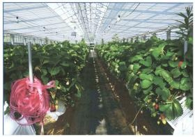 事業所の情報＿００２