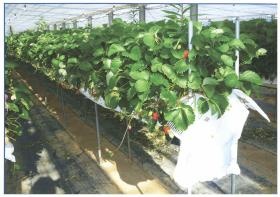 事業所の情報＿００１