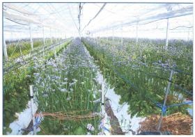 事業所の情報＿００３