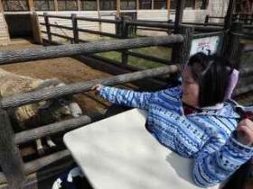 【スペースゆい】また行きたいね。ポケットファーム。