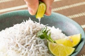 主力原材料のしらすを使った料理