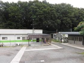 デイセンターすぎの芽