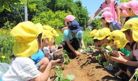 菜園では夏野菜・冬野菜を育てています♪