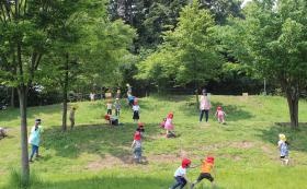 周辺には緑豊かな自然がいっぱいの公園がたくさんあります。