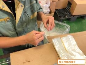 フィルム加工作業の様子