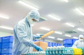 検卵作業の様子