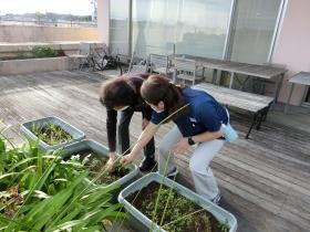 園芸にも挑戦！！花が咲くのが今から楽しみです♪