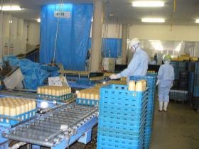 事業所の情報＿００４