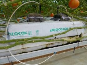 事業所の情報＿００７