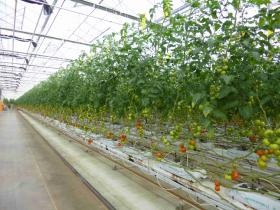 事業所の情報＿００６