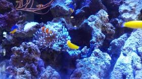 職場見学いつでも可能です！ご連絡ください。