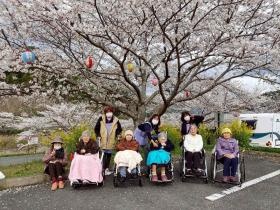 お散歩 さくら祭り
