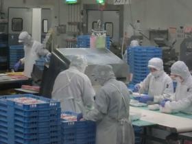 事業所の情報＿００９