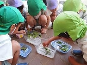 子ども達の「感じる」を大切に保育をしています。