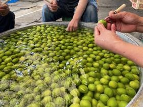 事業所の情報＿００８