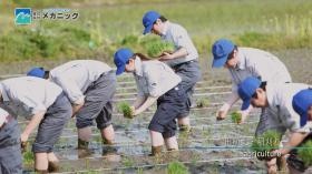 営農にも参入。社員みんなで田植え体験をしました。