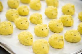 たくさんの愛情をこめて