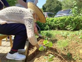 エスポ大原１０畑