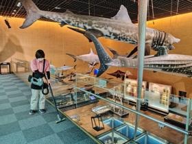 清掃スタッフの様子