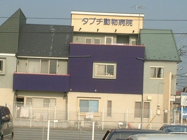 東上線に乗車中、新河岸駅と川越駅の間外を見ていると当院の建物が見えます。