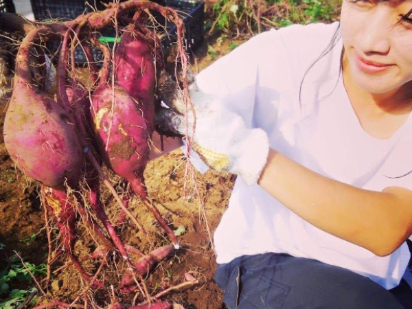 八百屋の店長候補募集！野菜とお客様を繋ぐ架け橋となる仕事