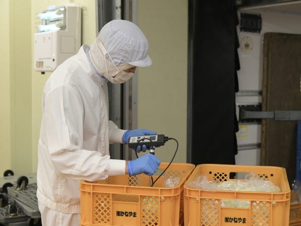 入荷した原材料の、品温チェックをしている様子です