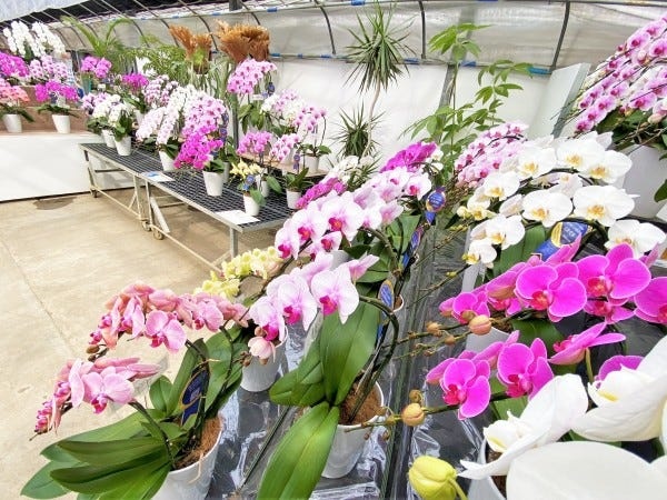 社内には売店もあり、東京や神奈川からもお客様がみえます。