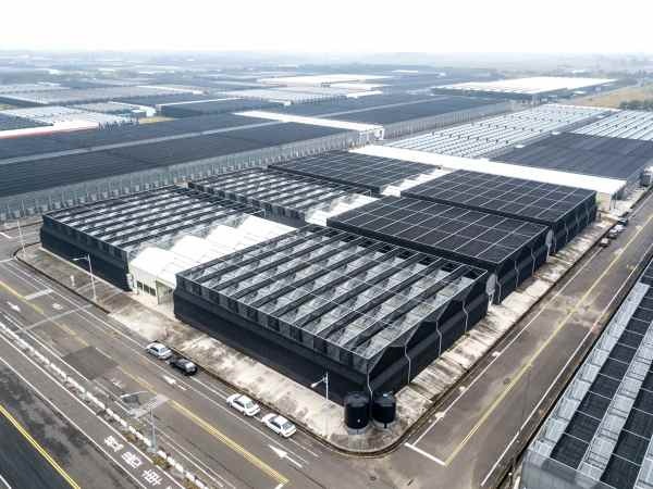 台湾にも自社農場があり、日本人が喜ぶ品質の苗を作り、月2回空輸しています。