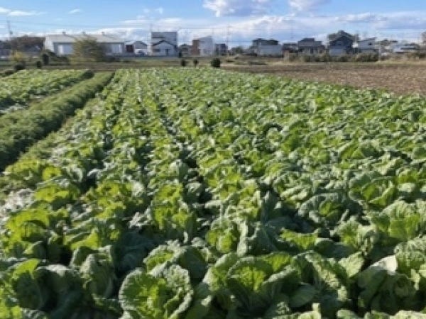 現地の野菜やお酒を楽しめるのもこの仕事の醍醐味です(笑)