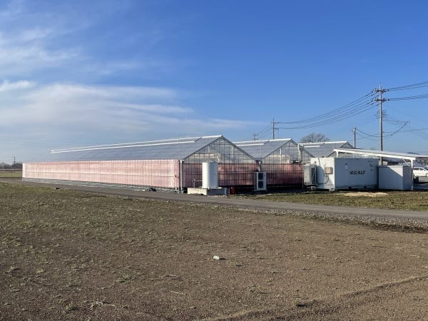 大規模いちご農園の栽培管理・リーダー候補募集！食と農業の未来を創る