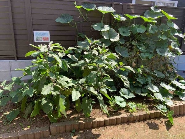 放課後等デイサービス療育スタッフ募集（令和8年4月新規オープン）