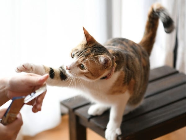 安心安全なペットフードを全国へお届けしています。