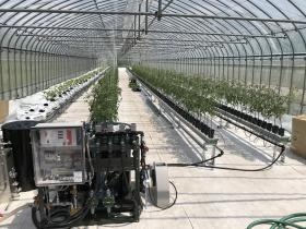 自社製品を使用したトマトの栽培実験の様子