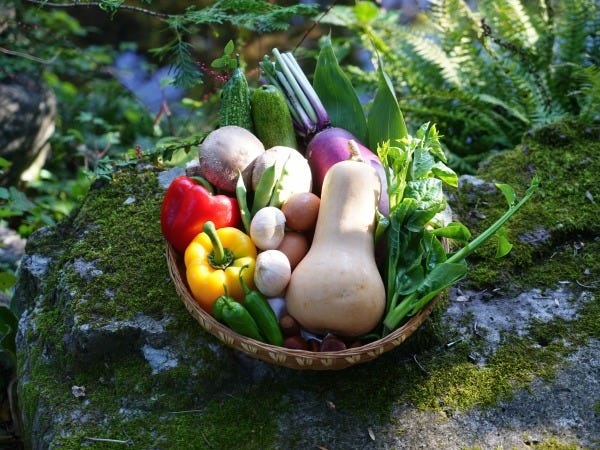 温泉旅館のフロント・サービススタッフ（賄いあり・社宅あり）