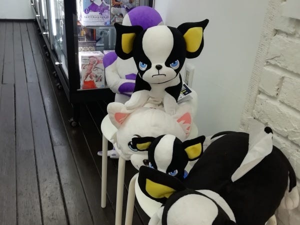 中野ブロードウェイ店舗スタッフ（オープニング）｜接客・商品陳列