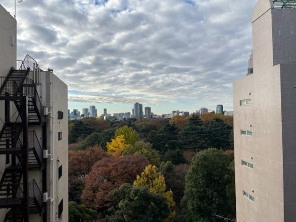 新宿御苑が一望できます