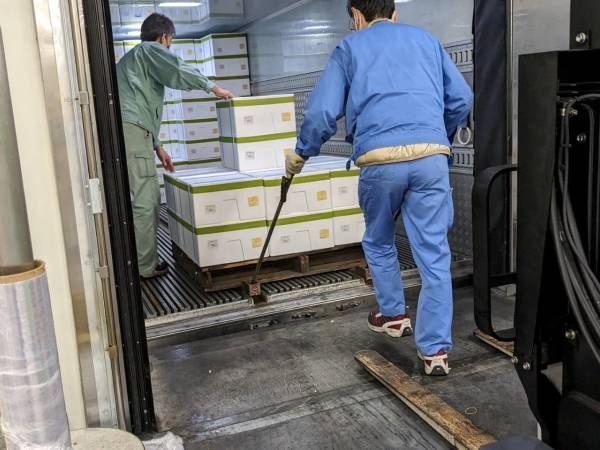 実際の積み込みの様子です。ドライバーと荷役作業員が連携して行います。主に中型トラックでの業務となります！先輩方も丁寧に教えてくださいます。