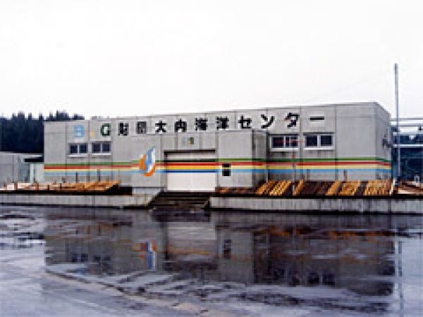 プール監視員・G海洋センター施設の運営職員・G大内海洋センター（未経験OK）