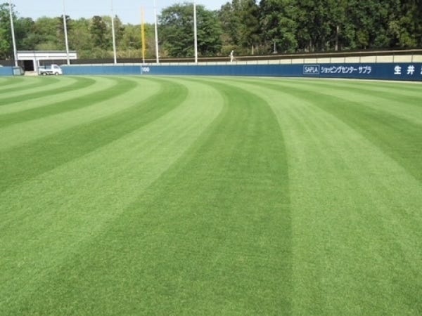 TOKIWAスタジアム龍ヶ崎（たつのこスタジアム）の外野の芝生は日本で３番目にきれい！？と評判。