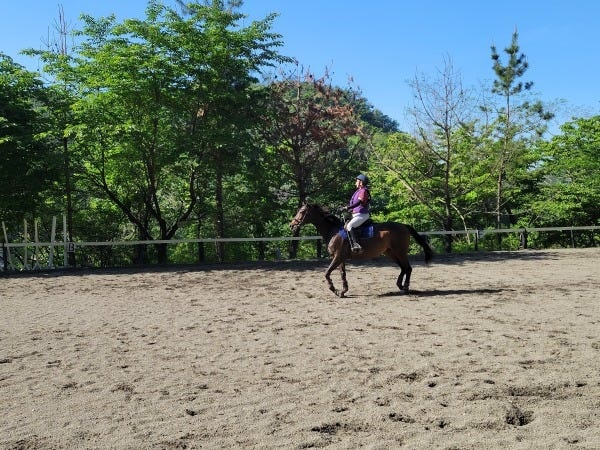 馬に乗る馬場になります。メインは2面あります。