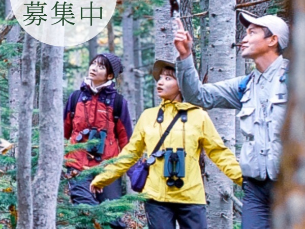 世界自然遺産知床の大自然を案内します！